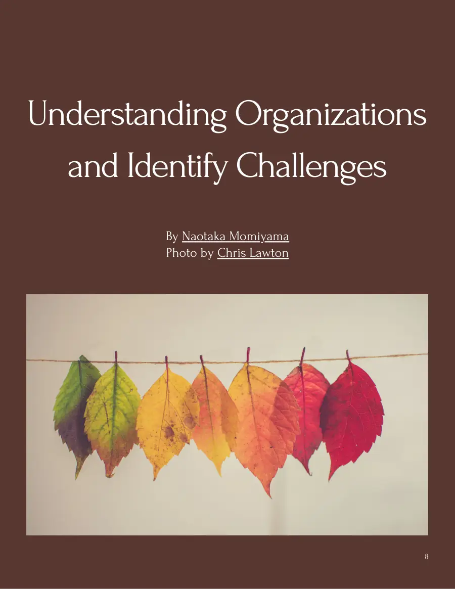 Opening page of 'Understanding Organizations and Identify Challenges' by Naotaka Momiyama